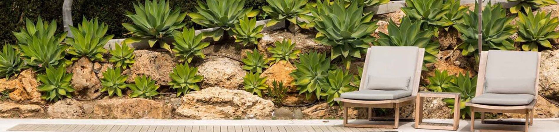 jardin de bajo consumo de agua